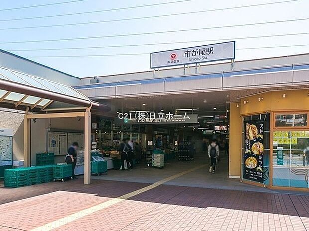 東急田園都市線　市が尾駅まで977m、公共施設等が揃う生活環境の整った地。各方面への路線バスも通り、交通の便も良い地。駅周辺には公園等緑も残っており住環境良好