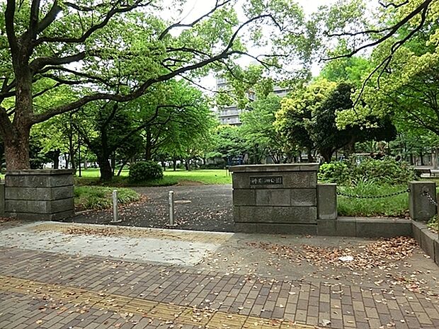 神奈川公園まで606m、砂場、ブランコ、ターザンロープ、ロープジャングルジム等の子供用遊具や大人用健康遊具があり、年齢を問わず沢山の人が集います