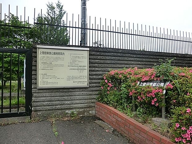 上菅田東部公園まで766m、グラウンドで野球やソフトボールなどを楽しんだり芝生広場でピクニックを楽しんだりできる公園。お花見スポットです。