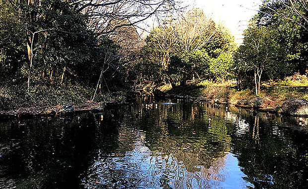 むじなが池公園まで1031m