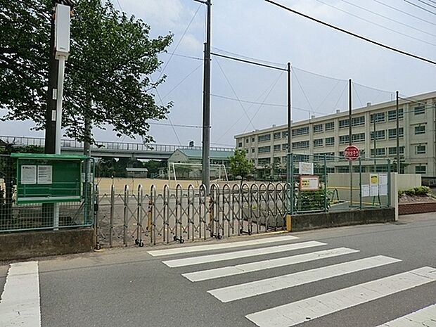 茅ヶ崎市立今宿小学校まで872m