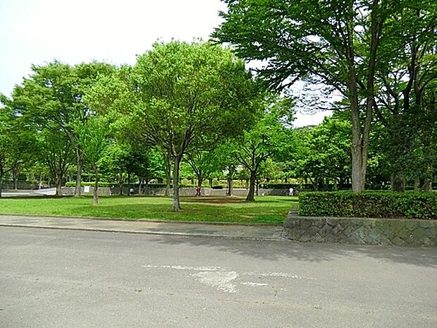 新林公園まで1746m、藤沢の中心街にほど近い所に残された緑の谷間に広がる公園で、山の尾根に沿う散策路には時折リスが顔をのぞかせます。