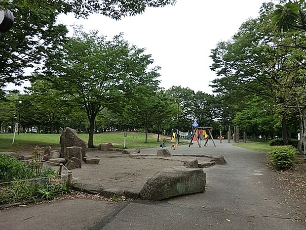 虹ケ丘公園まで1105m、銀杏をはじめ様々な樹木が植えられており秋が深まると色とりどりの紅葉を楽しめる。敷地面積は約2ヘクタールで野球場もある。