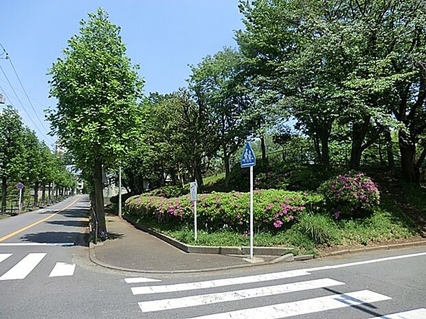寺尾台こぶし公園まで255m、昆虫を探したり草花の観察もできる公園。奥にはすべり台、ブランコがあります。