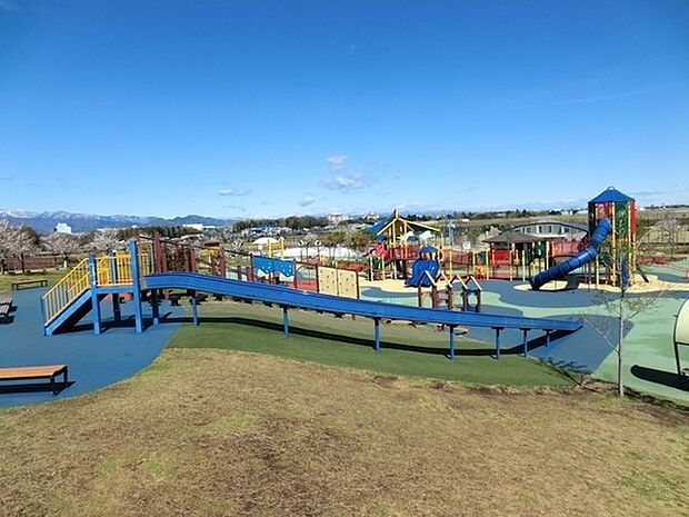 大和ゆとりの森公園まで347m、テニスコートやグラウンド、遊具がいっぱいのわんぱく広場他体を動かして楽しめる施設が多数あります。