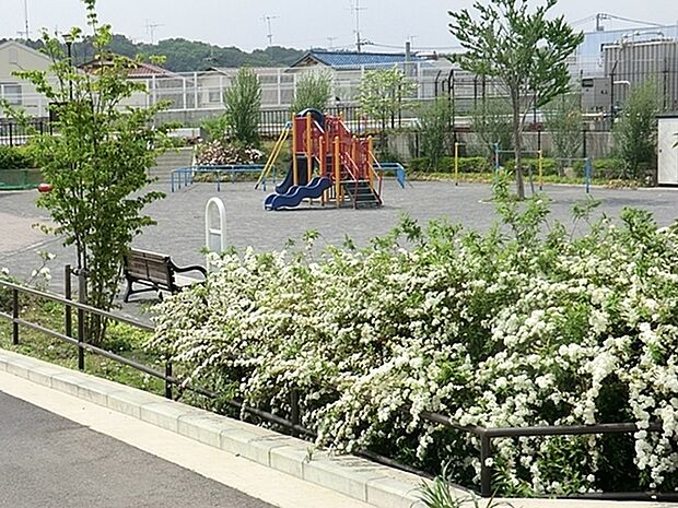 青砥公園まで170m、精進橋のたもとにある公園で鶴見川沿いにヨコハマヒザクラが植えられています