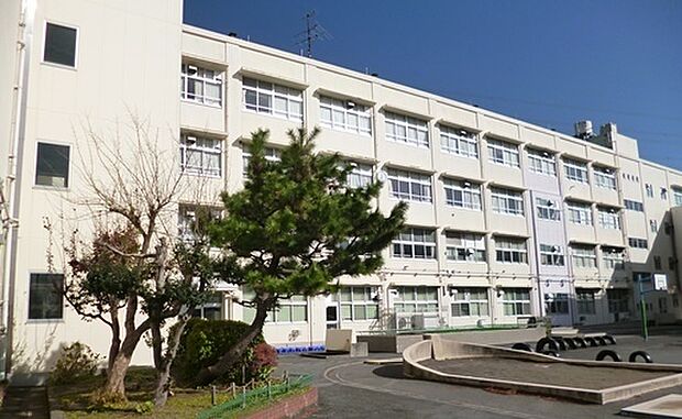 横浜市立柏尾小学校まで1491m、