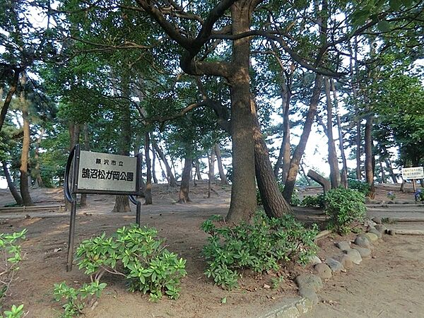 鵠沼松が岡公園まで619m、住宅街の子どもが走り回れる広さの公園。ボランティアの方々の手入れでお花が美しく咲いています。