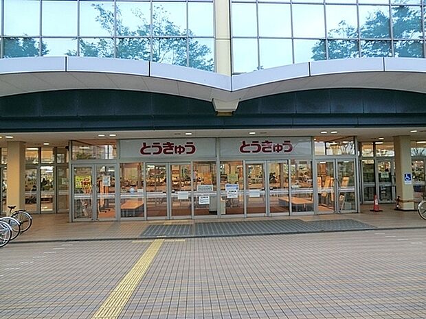 湘南とうきゅうまで966m、昔ながらのショッピングセンターゲームコーナー、ボウリング場、百円ショップ、ニトリ、コーナン等生活に必要な物は大体揃い便利