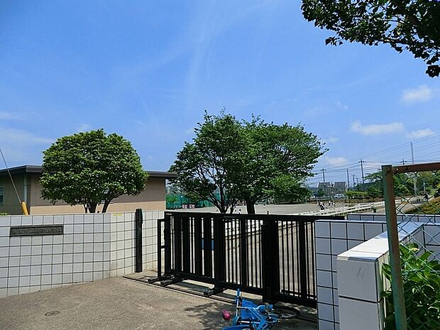 藤沢市立駒寄小学校まで343m