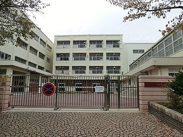 横浜市立さわの里小学校まで1223m