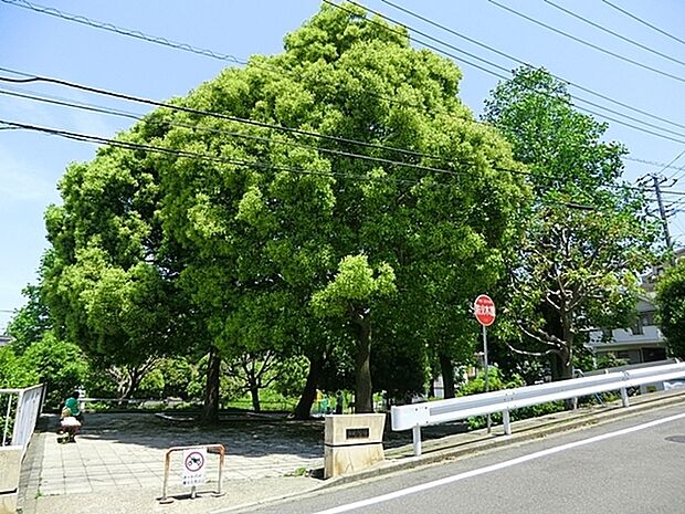 貝塚公園まで344m、広場が3箇所に分かれている広い公園。ユニークな遊具は小さい子におすすめ。その他滑り台、ブランコ、砂場、鉄棒もあります。