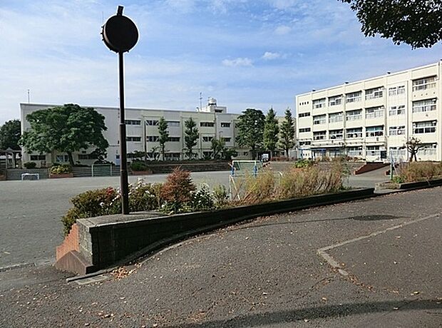 横浜市立都岡小学校まで591m