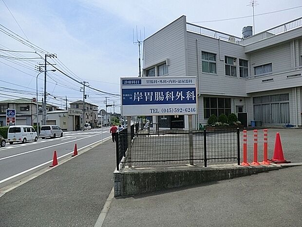 岸胃腸科外科まで914m、胃腸科・内科・外科・肛門科・泌尿器科・禁煙外来