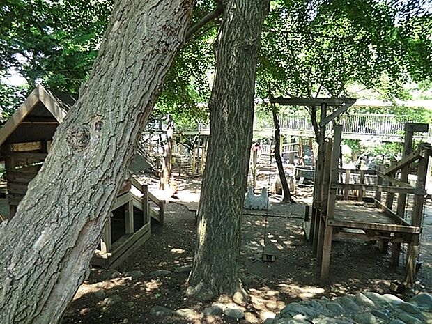 まこと幼稚園まで248m、昭和28年創立。大きな木々と四季折々の自然に恵まれた環境です。