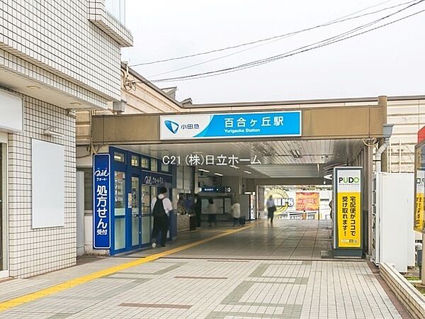 小田急線百合ヶ丘駅まで589m、新宿駅まで急行で約25分、横浜駅まで約35分でアクセス。閑静な住宅街が広がるエリア。商業施設が充実した暮らしやすさ。