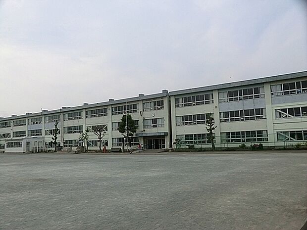 茅ヶ崎市立松林小学校まで447m