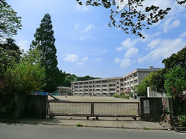 横須賀市立鷹取小学校まで1094m