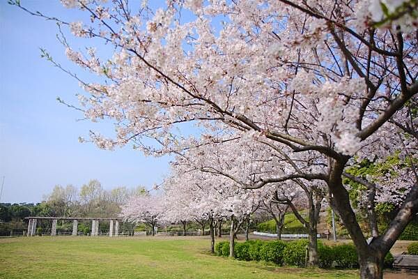 長久保公園まで894m