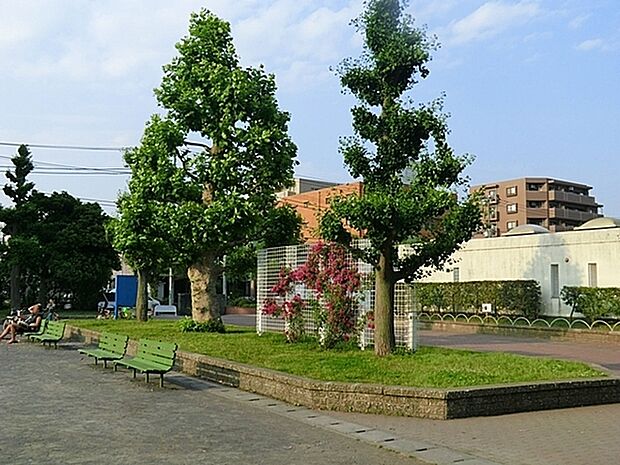 潮田公園まで459m、テニスコート、野球場、遊具広場、コミュニティハウスなど、年間を通して利用できる施設が多々あり、夏にはプールも開放します。