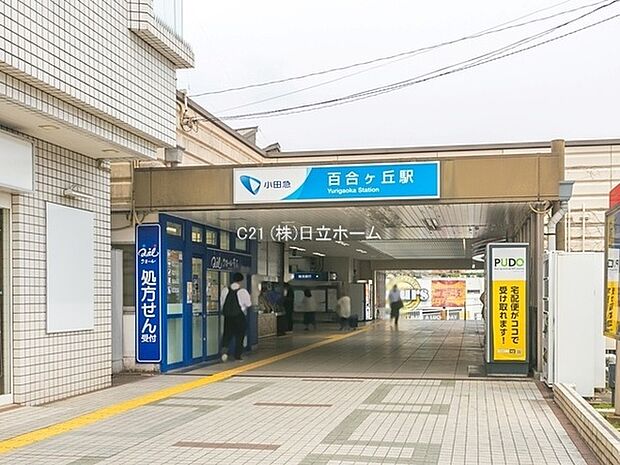 小田急線百合ヶ丘駅まで591m、新宿駅まで急行で約25分、横浜駅まで約35分でアクセス。閑静な住宅街が広がるエリア。商業施設が充実した暮らしやすさ。