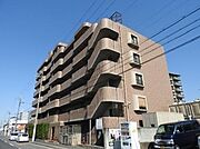 フェリーチェ和泉 5階 築30年の賃貸物件