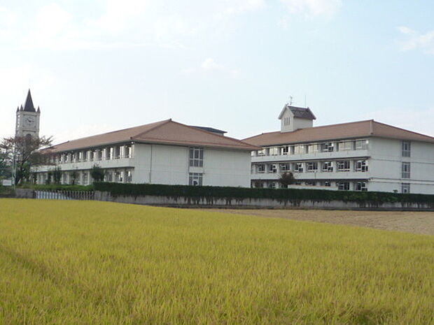 羽島市立中央中学校まで1252m