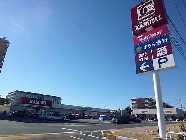 カスミ柏たなか駅前店まで1496m、カスミ柏たなか駅前店