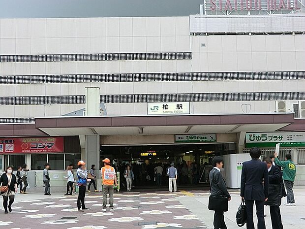 柏駅(JR 常磐線)まで1498m、JR常磐線、東武野田線の2路線利用可！