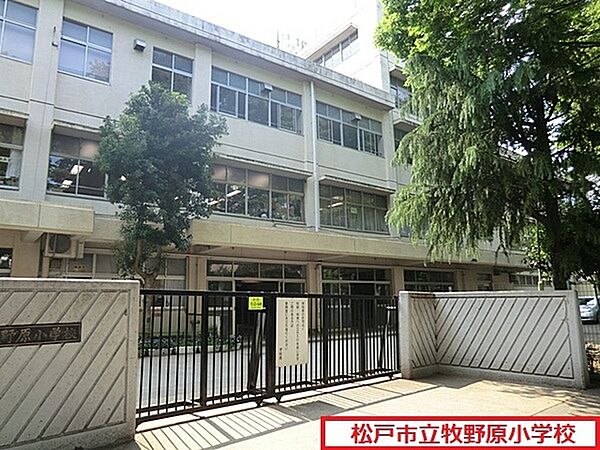 松戸市立牧野原小学校まで300m、徒歩約4分お子様の通学も安心ですね