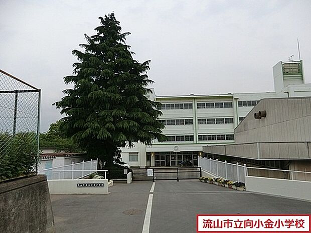 流山市立向小金小学校まで150m、徒歩約2分お子様の通学も安心ですね