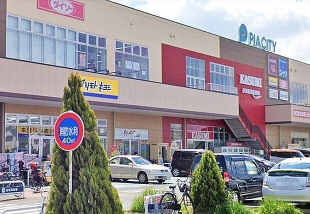 カスミフードスクエア柏中新宿店まで1067m、徒歩約14分