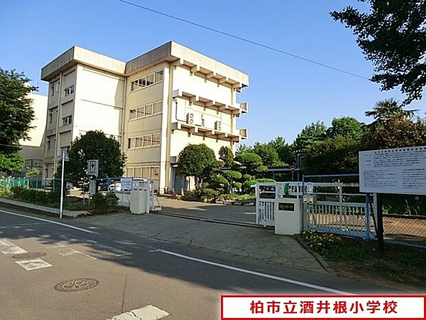 柏市立酒井根小学校まで550m、徒歩約7分お子様の通学も安心ですね♪
