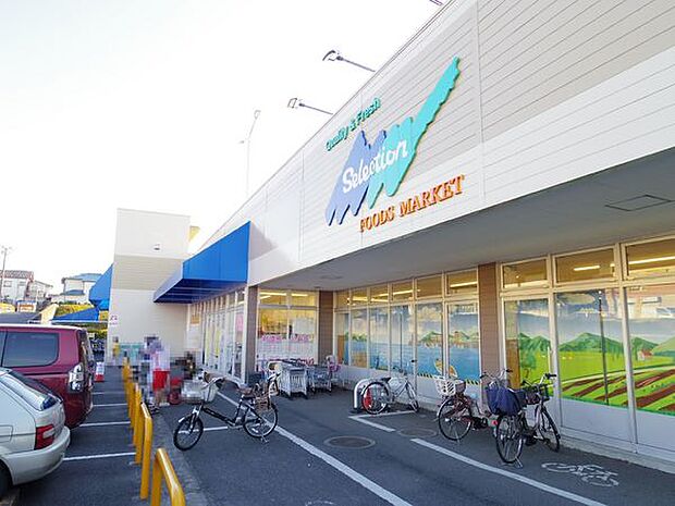 FOODS MARKET Selection青葉台店まで1406m