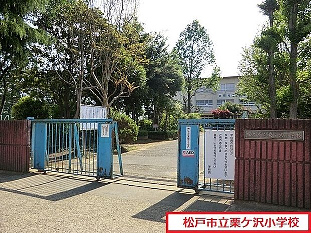 松戸市立栗ケ沢小学校まで800m、徒歩約10分お子様の通学も安心ですね