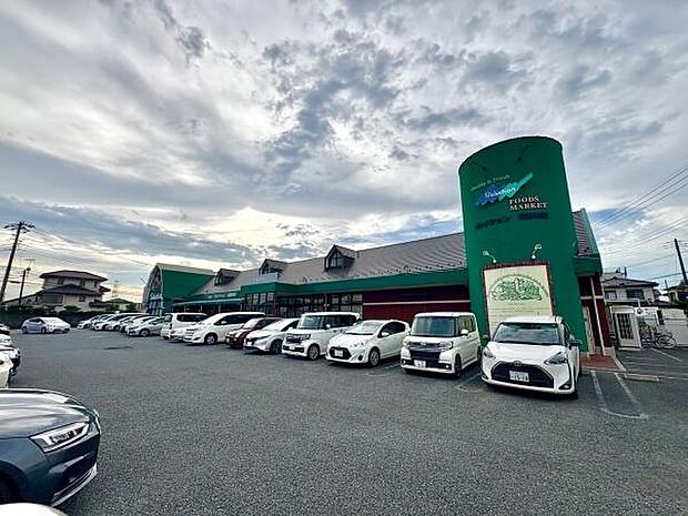 フーズマーケットセレクション花野井店まで1517m