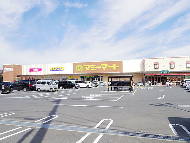 マミーマート松戸新田店まで696m、徒歩約9分毎日のお買い物に便利ですね