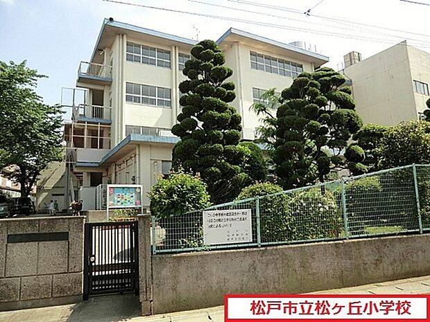 松戸市立松ケ丘小学校まで369m