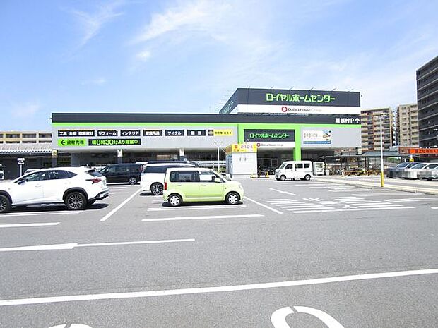ロイヤルホームセンター松戸店まで838m