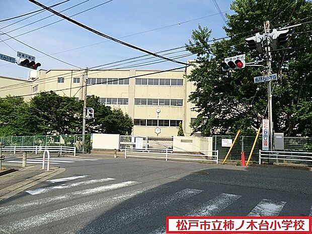 松戸市立柿ノ木台小学校まで550m、徒歩約7分お子様の通学も安心ですね