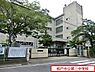 周辺：松戸市立第三中学校まで1325m、松戸市立第三中学校