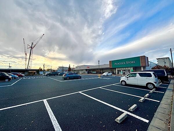 ピーコックストア豊四季台店まで981m、徒歩約13分