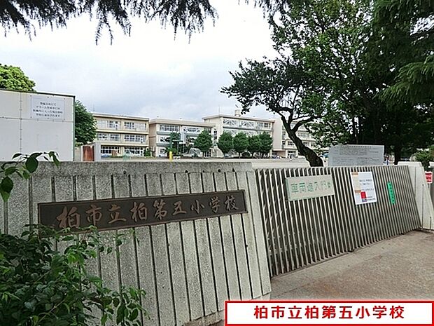 柏市立柏第五小学校まで661m、柏市立柏第五小学校