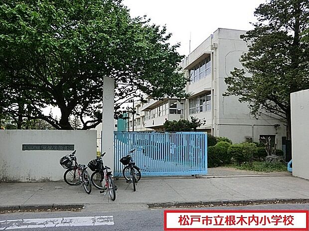 松戸市立根木内小学校まで1182m、松戸市立根木内小学校