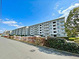 新松戸サンライトパストラル参番街Ｂ棟