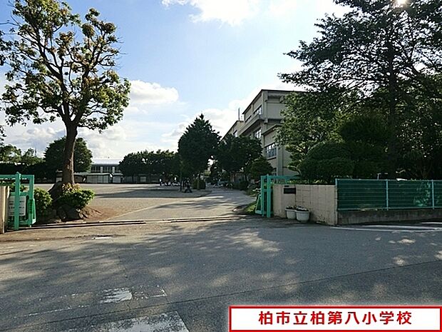 柏市立柏第八小学校まで550m、徒歩約7分お子様の通学も安心ですね