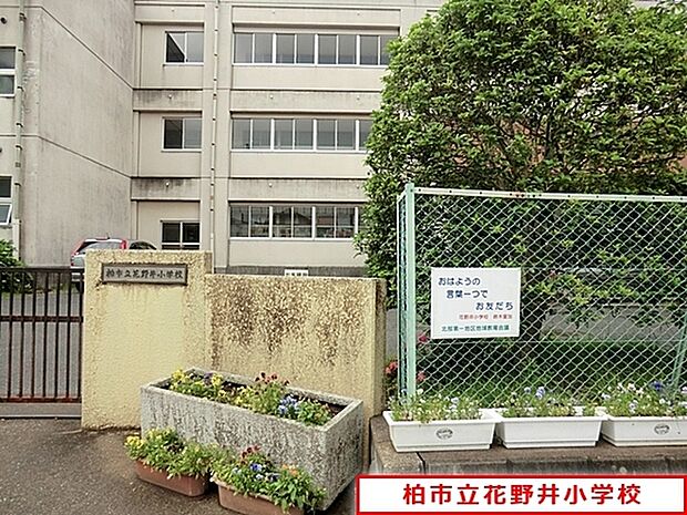 柏市立花野井小学校まで450m、徒歩約6分お子様の通学も安心ですね！