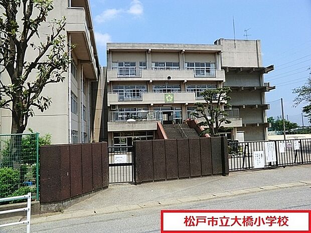 松戸市立大橋小学校まで454m、松戸市立大橋小学校