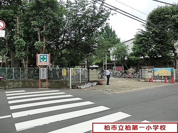 柏市立柏第一小学校まで1020m、徒歩約13分