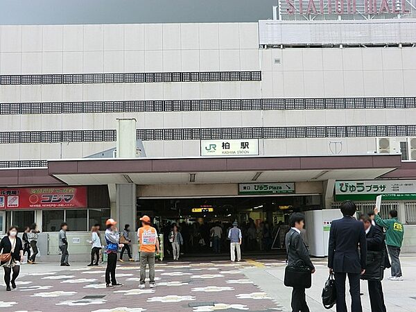 柏駅(JR 常磐線)まで1909m、JR常磐線、東武野田線の2路線利用可！